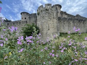 La Cite Carcassonne Tour guides - carcassonne je taime