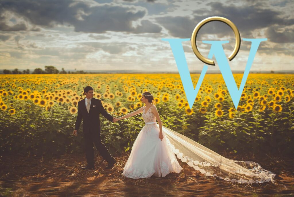 wedding sunflowers carcassone weddings venue and services carcassonne