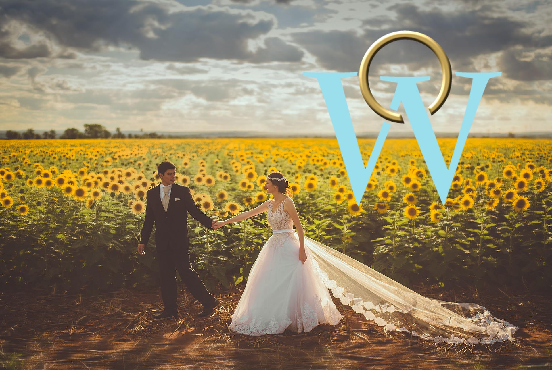 wedding sunflowers carcassone weddings venue and services carcassonne